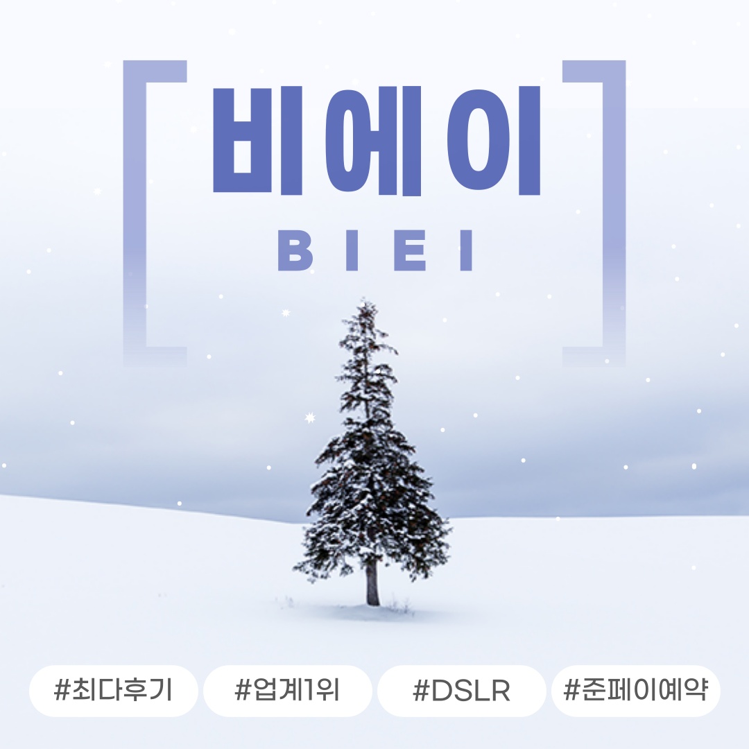 삿포로 비에이 후라노 버스투어 DSLR 사진 촬영 가성비 최강