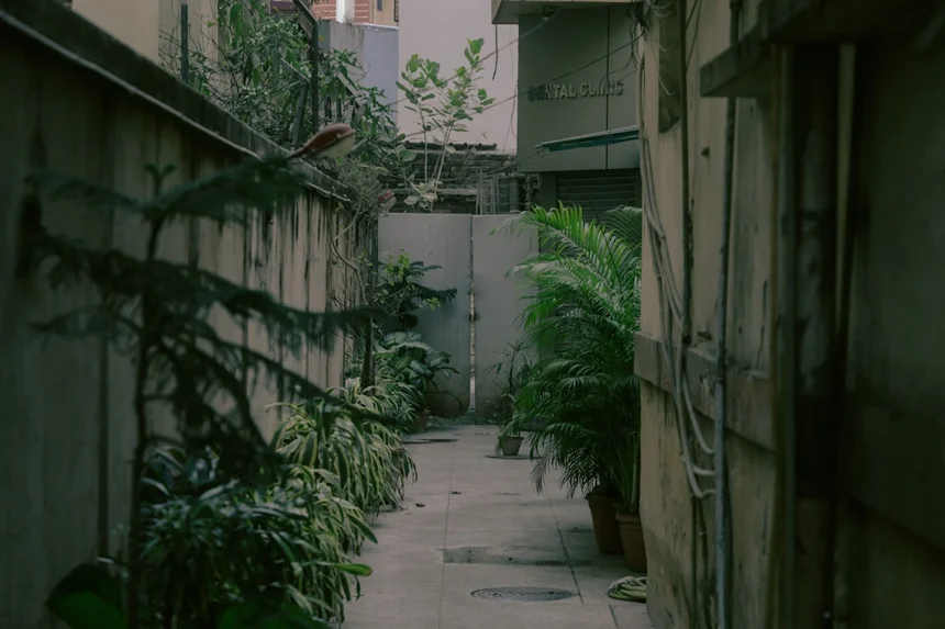 Hidden gem.