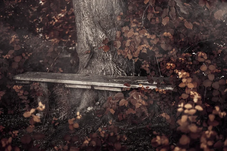 홍콩 이병헌과 전설의 만남 잡다한 이야기